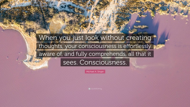 Michael A. Singer Quote: “When you just look without creating thoughts, your consciousness is effortlessly aware of, and fully comprehends, all that it sees. Consciousness.”