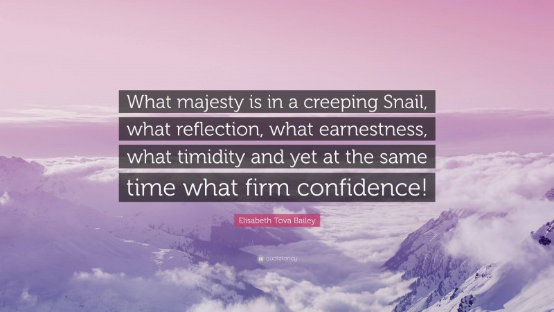 Elisabeth Tova Bailey Quote: “What majesty is in a creeping Snail, what reflection, what earnestness, what timidity and yet at the same time what firm confidence!”