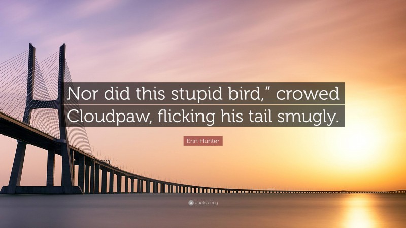 Erin Hunter Quote: “Nor did this stupid bird,” crowed Cloudpaw, flicking his tail smugly.”