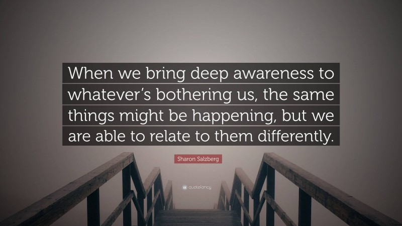 Sharon Salzberg Quote: “When we bring deep awareness to whatever’s bothering us, the same things might be happening, but we are able to relate to them differently.”