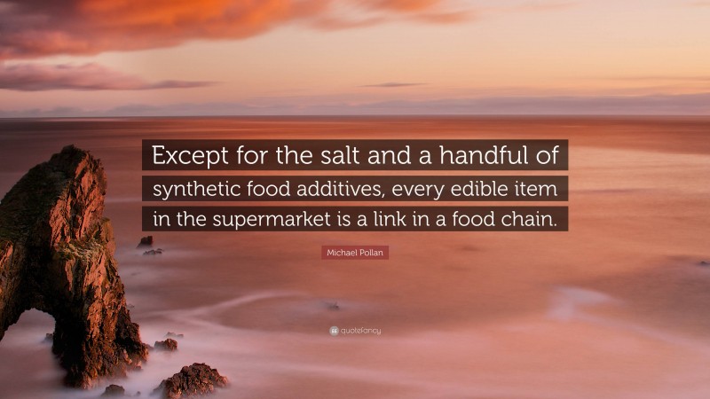 Michael Pollan Quote: “Except for the salt and a handful of synthetic food additives, every edible item in the supermarket is a link in a food chain.”