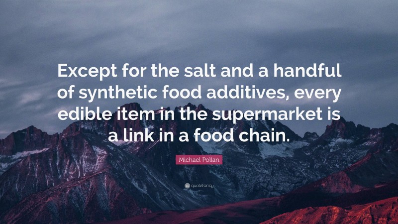 Michael Pollan Quote: “Except for the salt and a handful of synthetic food additives, every edible item in the supermarket is a link in a food chain.”