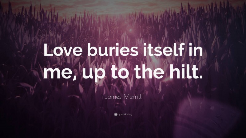 James Merrill Quote: “Love buries itself in me, up to the hilt.”