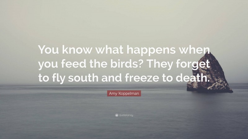 Amy Koppelman Quote: “You know what happens when you feed the birds? They forget to fly south and freeze to death.”