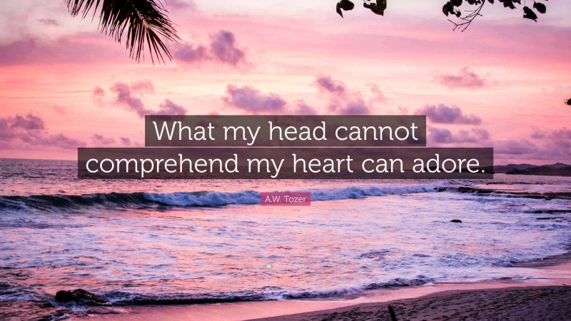 A.W. Tozer Quote: “What my head cannot comprehend my heart can adore.”