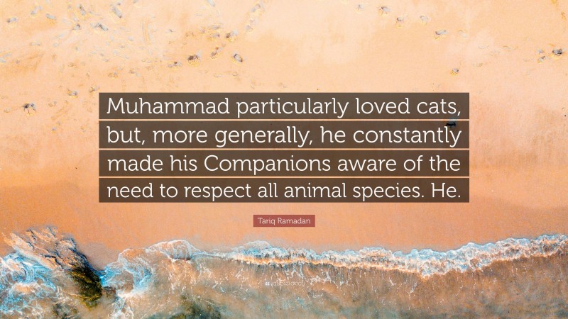 Tariq Ramadan Quote: “Muhammad particularly loved cats, but, more generally, he constantly made his Companions aware of the need to respect all animal species. He.”