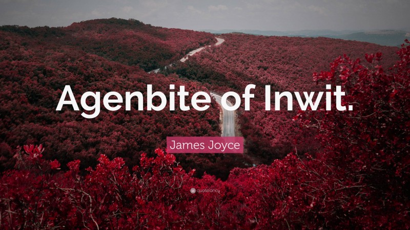 James Joyce Quote: “Agenbite of Inwit.”