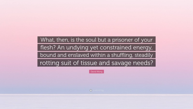 David Wong Quote: “What, then, is the soul but a prisoner of your flesh? An undying yet constrained energy, bound and enslaved within a shuffling, steadily rotting suit of tissue and savage needs?”