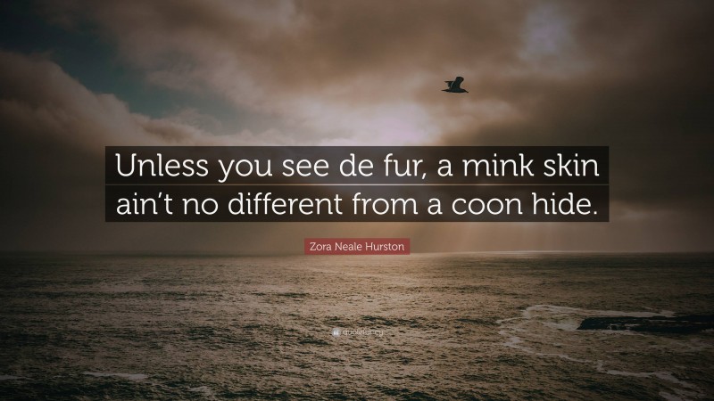 Zora Neale Hurston Quote: “Unless you see de fur, a mink skin ain’t no different from a coon hide.”