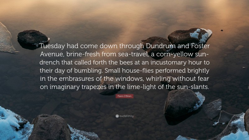 Flann O'Brien Quote: “Tuesday had come down through Dundrum and Foster Avenue, brine-fresh from sea-travel, a corn-yellow sun-drench that called forth the bees at an incustomary hour to their day of bumbling. Small house-flies performed brightly in the embrasures of the windows, whirling without fear on imaginary trapezes in the lime-light of the sun-slants.”