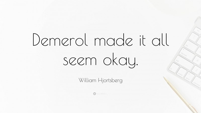 William Hjortsberg Quote: “Demerol made it all seem okay.”