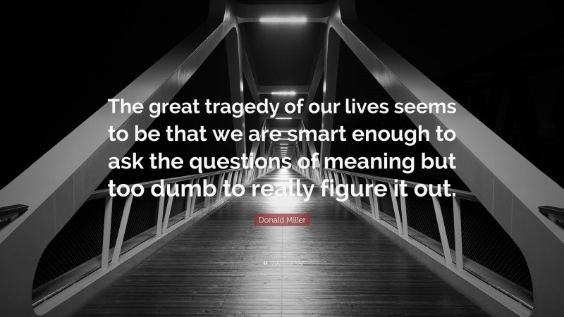 Donald Miller Quote: “The great tragedy of our lives seems to be that we are smart enough to ask the questions of meaning but too dumb to really figure it out.”