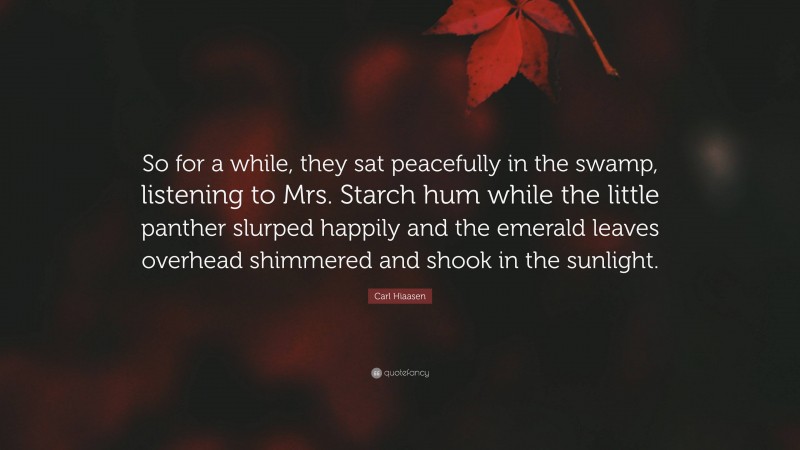 Carl Hiaasen Quote: “So for a while, they sat peacefully in the swamp, listening to Mrs. Starch hum while the little panther slurped happily and the emerald leaves overhead shimmered and shook in the sunlight.”