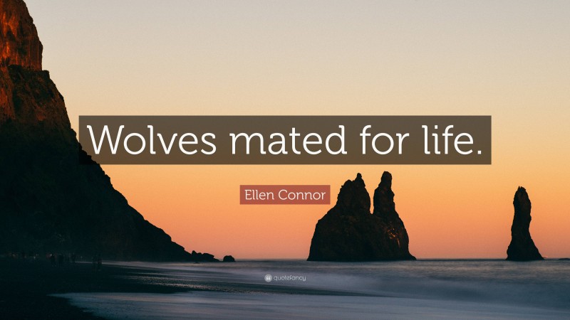 Ellen Connor Quote: “Wolves mated for life.”