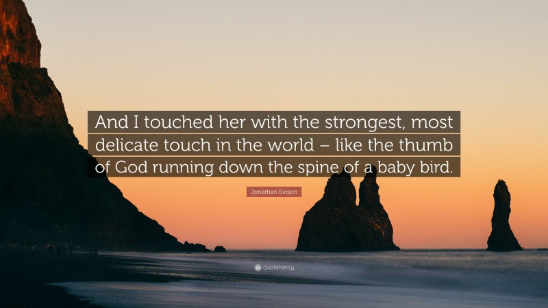 Jonathan Evison Quote: “And I touched her with the strongest, most delicate touch in the world – like the thumb of God running down the spine of a baby bird.”