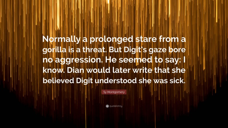 Sy Montgomery Quote: “Normally a prolonged stare from a gorilla is a threat. But Digit’s gaze bore no aggression. He seemed to say: I know. Dian would later write that she believed Digit understood she was sick.”