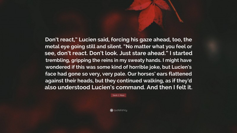 Sarah J. Maas Quote: “Don’t react,” Lucien said, forcing his gaze ahead, too, the metal eye going still and silent. “No matter what you feel or see, don’t react. Don’t look. Just stare ahead.” I started trembling, gripping the reins in my sweaty hands. I might have wondered if this was some kind of horrible joke, but Lucien’s face had gone so very, very pale. Our horses’ ears flattened against their heads, but they continued walking, as if they’d also understood Lucien’s command. And then I felt it.”