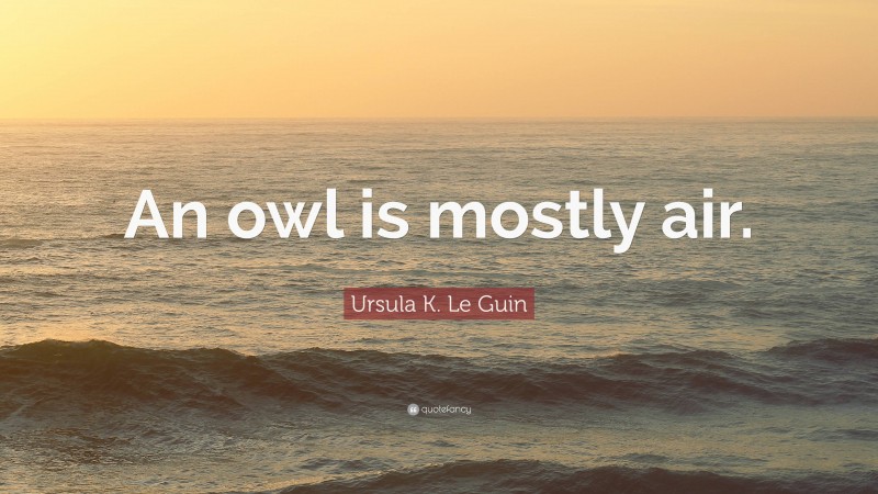 Ursula K. Le Guin Quote: “An owl is mostly air.”