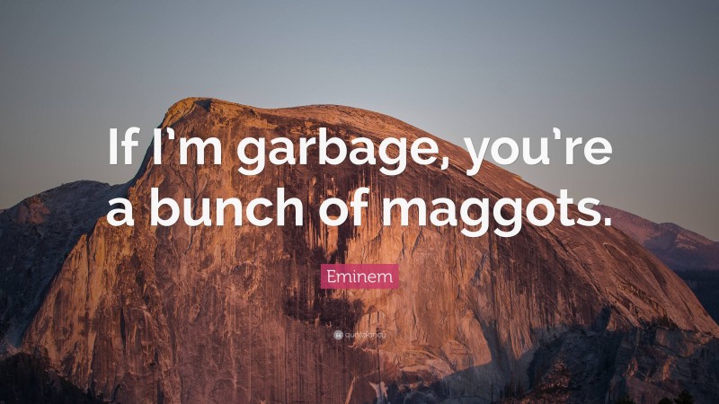 Eminem Quote: “If I’m garbage, you’re a bunch of maggots.”