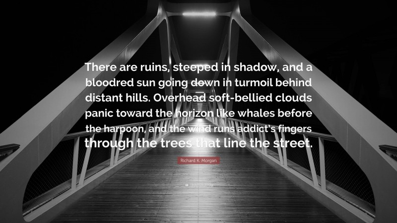 Richard K. Morgan Quote: “There are ruins, steeped in shadow, and a bloodred sun going down in turmoil behind distant hills. Overhead soft-bellied clouds panic toward the horizon like whales before the harpoon, and the wind runs addict’s fingers through the trees that line the street.”
