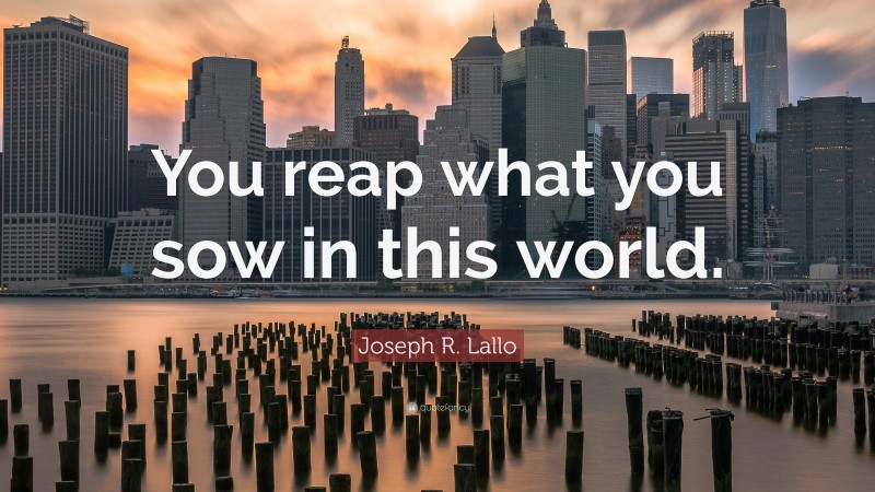 Joseph R. Lallo Quote: “You reap what you sow in this world.”