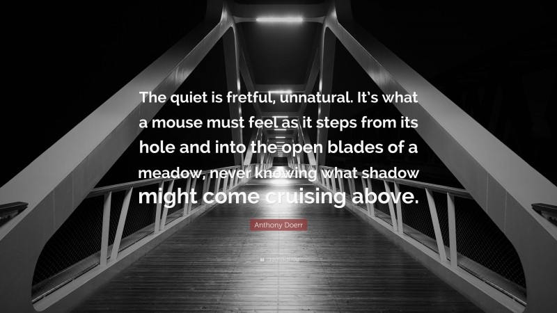Anthony Doerr Quote: “The quiet is fretful, unnatural. It’s what a mouse must feel as it steps from its hole and into the open blades of a meadow, never knowing what shadow might come cruising above.”