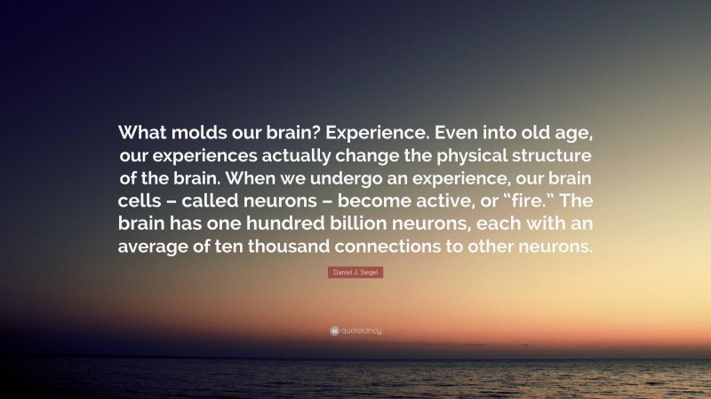 Daniel J. Siegel Quote: “What molds our brain? Experience. Even into old age, our experiences actually change the physical structure of the brain. When we undergo an experience, our brain cells – called neurons – become active, or “fire.” The brain has one hundred billion neurons, each with an average of ten thousand connections to other neurons.”