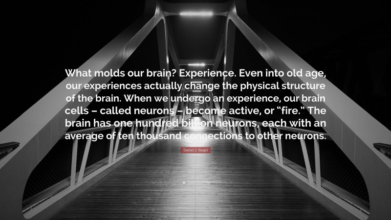 Daniel J. Siegel Quote: “What molds our brain? Experience. Even into old age, our experiences actually change the physical structure of the brain. When we undergo an experience, our brain cells – called neurons – become active, or “fire.” The brain has one hundred billion neurons, each with an average of ten thousand connections to other neurons.”