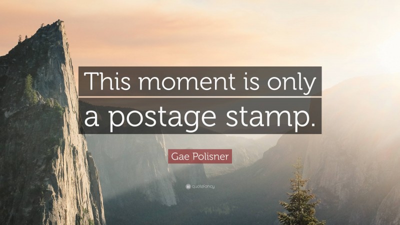 Gae Polisner Quote: “This moment is only a postage stamp.”