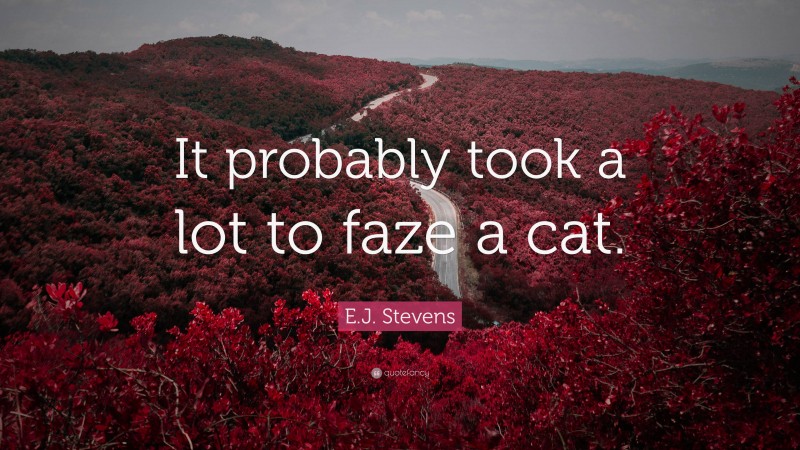 E.J. Stevens Quote: “It probably took a lot to faze a cat.”