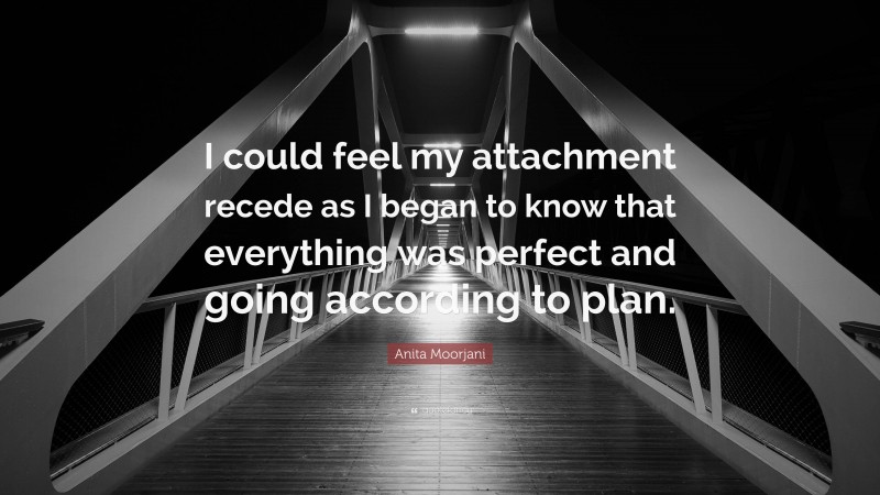 Anita Moorjani Quote: “I could feel my attachment recede as I began to know that everything was perfect and going according to plan.”