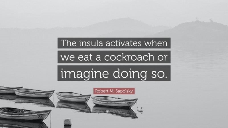 Robert M. Sapolsky Quote: “The insula activates when we eat a cockroach or imagine doing so.”