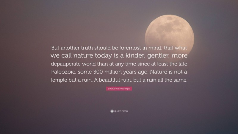 Siddhartha Mukherjee Quote: “But another truth should be foremost in mind: that what we call nature today is a kinder, gentler, more depauperate world than at any time since at least the late Paleozoic, some 300 million years ago. Nature is not a temple but a ruin. A beautiful ruin, but a ruin all the same.”