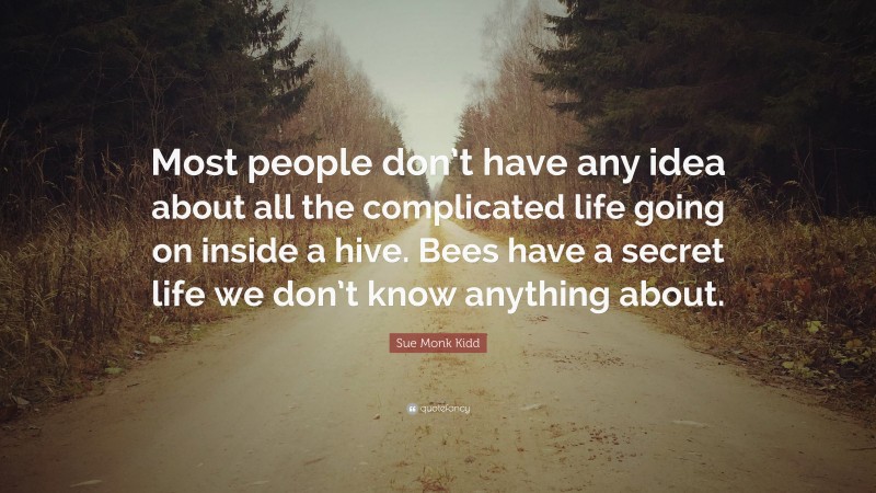 Sue Monk Kidd Quote: “Most people don’t have any idea about all the complicated life going on inside a hive. Bees have a secret life we don’t know anything about.”