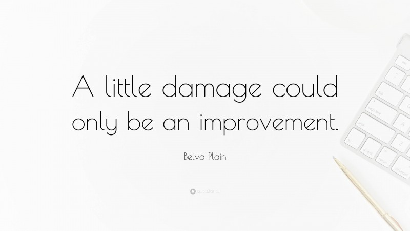 Belva Plain Quote: “A little damage could only be an improvement.”