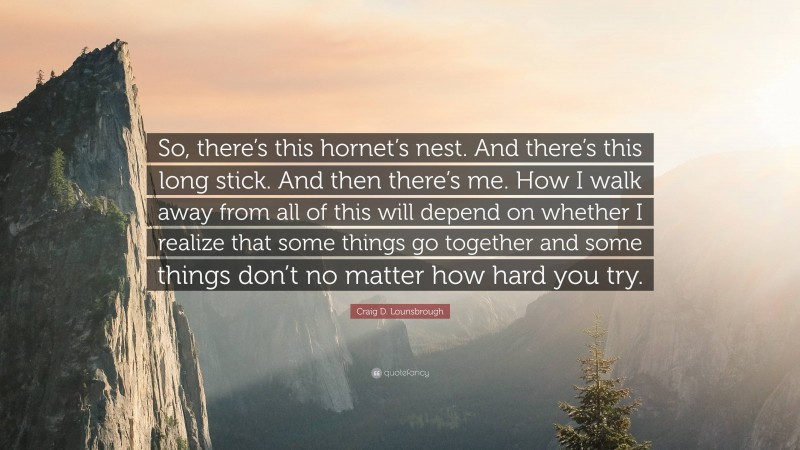 Craig D. Lounsbrough Quote: “So, there’s this hornet’s nest. And there’s this long stick. And then there’s me. How I walk away from all of this will depend on whether I realize that some things go together and some things don’t no matter how hard you try.”
