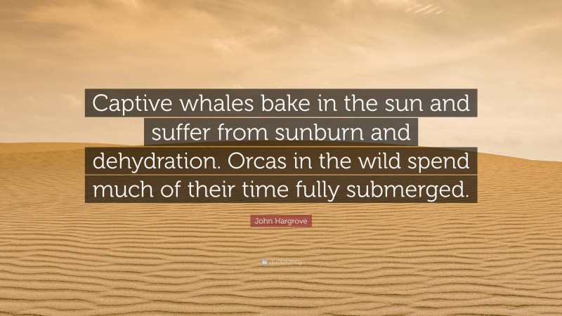 John Hargrove Quote: “Captive whales bake in the sun and suffer from sunburn and dehydration. Orcas in the wild spend much of their time fully submerged.”