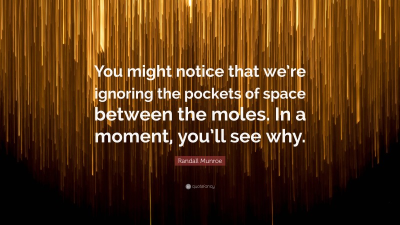 Randall Munroe Quote: “You might notice that we’re ignoring the pockets of space between the moles. In a moment, you’ll see why.”