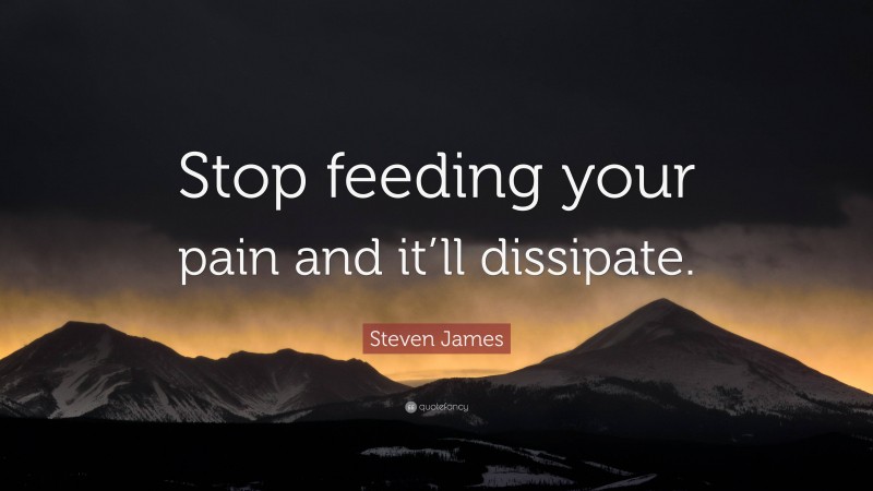 Steven James Quote: “Stop feeding your pain and it’ll dissipate.”