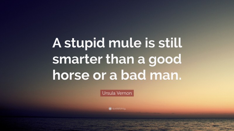 Ursula Vernon Quote: “A stupid mule is still smarter than a good horse or a bad man.”