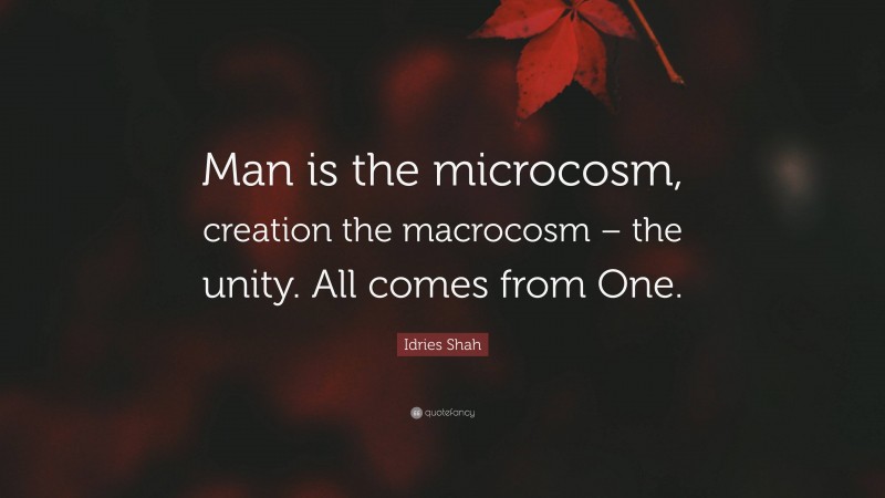 Idries Shah Quote: “Man is the microcosm, creation the macrocosm – the unity. All comes from One.”