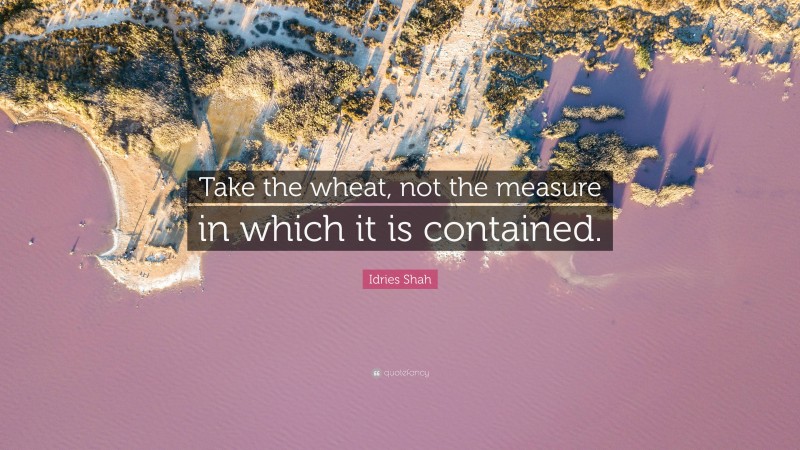 Idries Shah Quote: “Take the wheat, not the measure in which it is contained.”