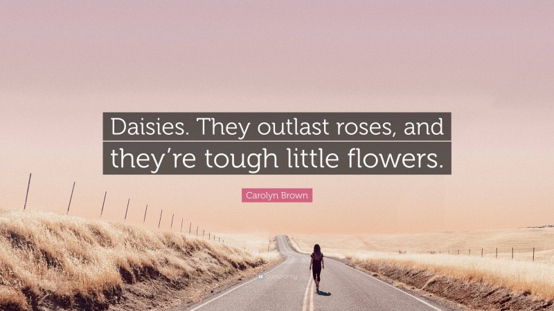 Carolyn Brown Quote: “Daisies. They outlast roses, and they’re tough little flowers.”