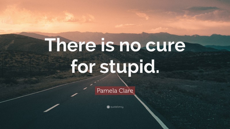 Pamela Clare Quote: “There is no cure for stupid.”