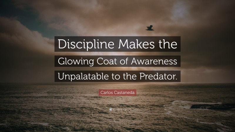 Carlos Castaneda Quote: “Discipline Makes the Glowing Coat of Awareness Unpalatable to the Predator.”
