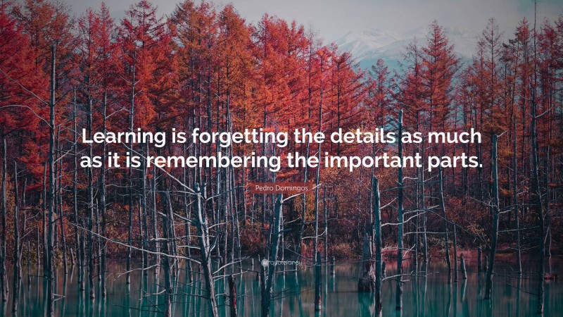 Pedro Domingos Quote: “Learning is forgetting the details as much as it is remembering the important parts.”