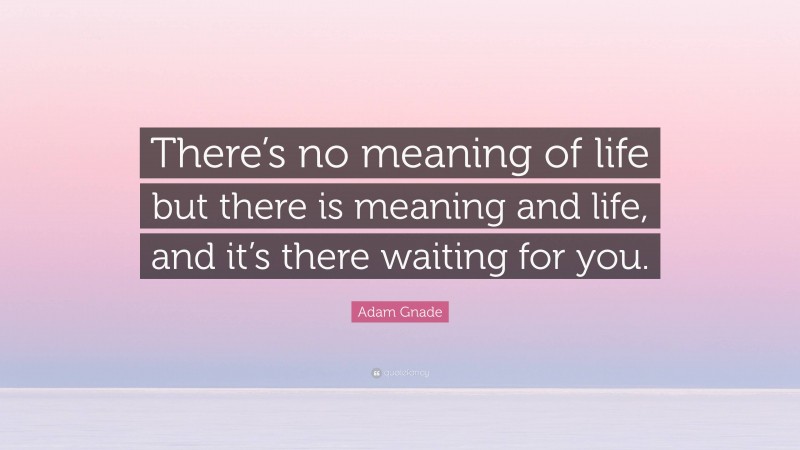 Adam Gnade Quote: “There’s no meaning of life but there is meaning and life, and it’s there waiting for you.”