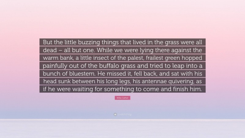 Willa Cather Quote: “But the little buzzing things that lived in the grass were all dead – all but one. While we were lying there against the warm bank, a little insect of the palest, frailest green hopped painfully out of the buffalo grass and tried to leap into a bunch of bluestem. He missed it, fell back, and sat with his head sunk between his long legs, his antennae quivering, as if he were waiting for something to come and finish him.”