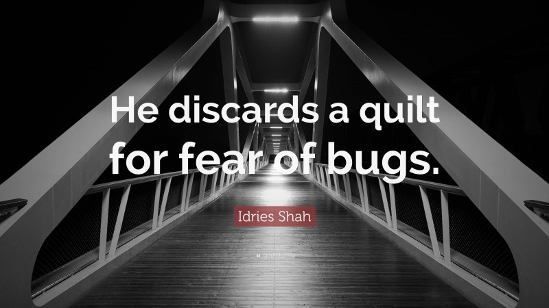 Idries Shah Quote: “He discards a quilt for fear of bugs.”