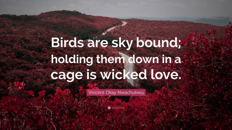 Vincent Okay Nwachukwu Quote: “Birds are sky bound; holding them down in a cage is wicked love.”